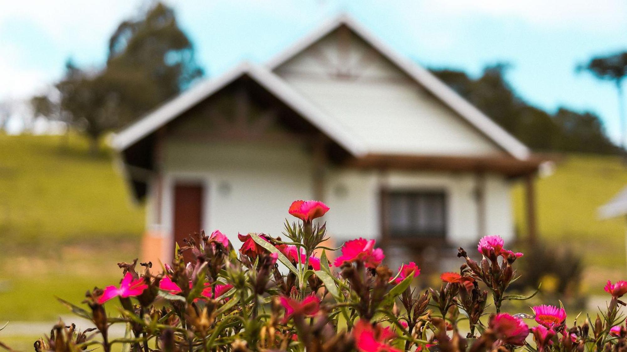 Toca Da Coruja Hospedagem - Urubici - Sc Exteriér fotografie